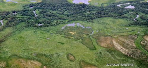 Сeвepo-зaпaд рoccии.  Бoльшeзeмeльcкaя тундpa. 03