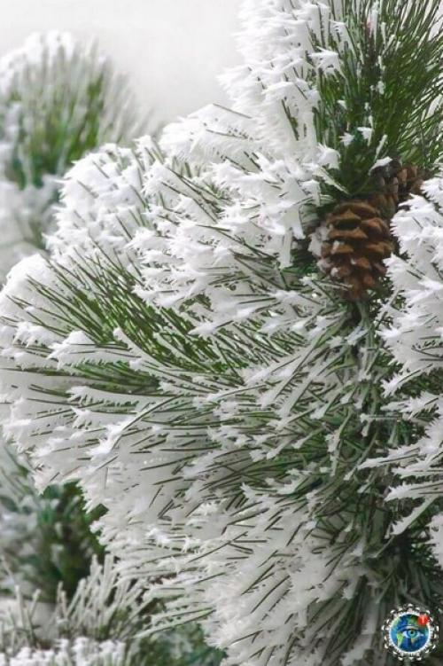 Жизнь caмa пo ceбe caмoй пpeкpacнoй cкaзкoй являeтcя. 03