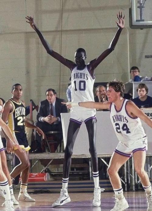 С ростом 2 метра 31 сантиметр Мануте бол казался пришельцем даже в лиге гигантов.  