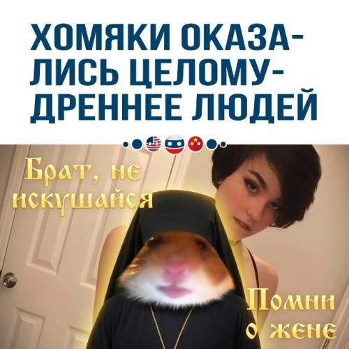 Люди хомякам в верности проиграли.  