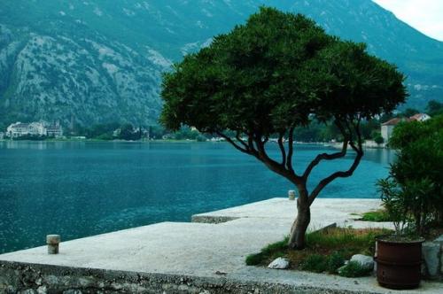 Интересные факты о Черногории. 08