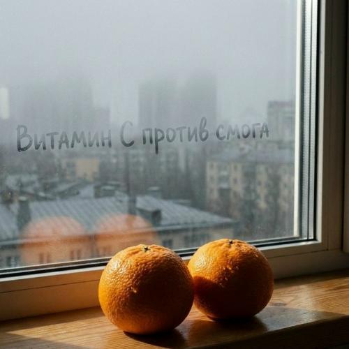 Исследователи проверили, как витамины справляются с последствиями загрязнения воздуха. 01