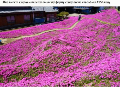 Любящий муж два года сажал цветы, чтобы его незрячая жена могла насладиться их ароматом. 01