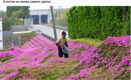 Любящий муж два года сажал цветы, чтобы его незрячая жена могла насладиться их ароматом. 06