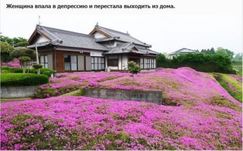 Любящий муж два года сажал цветы, чтобы его незрячая жена могла насладиться их ароматом. 04