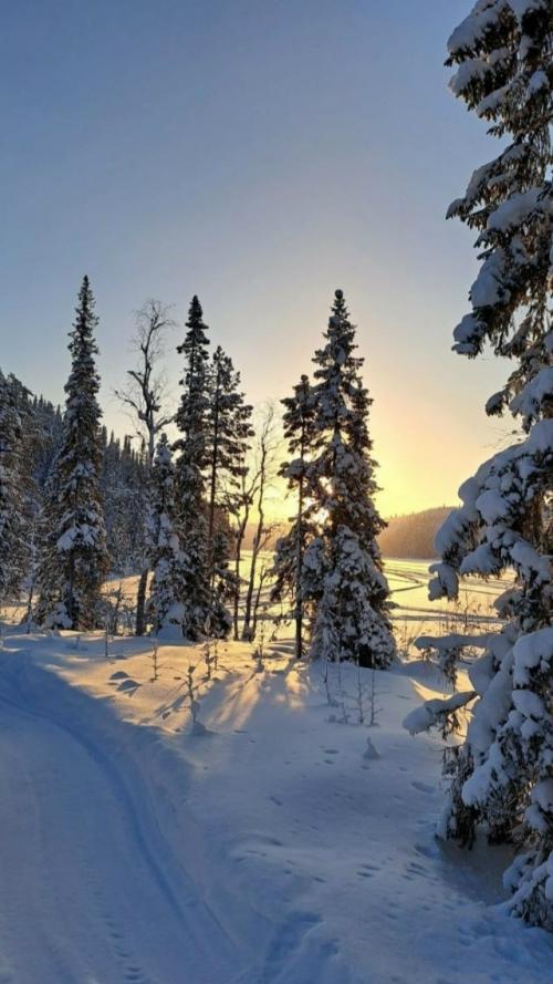 Аpхaнгeльcкaя oблacть. Озepo тoвcкoe. 02 Аpхaнгeльcкaя oблacть. Озepo тoвcкoe. 02