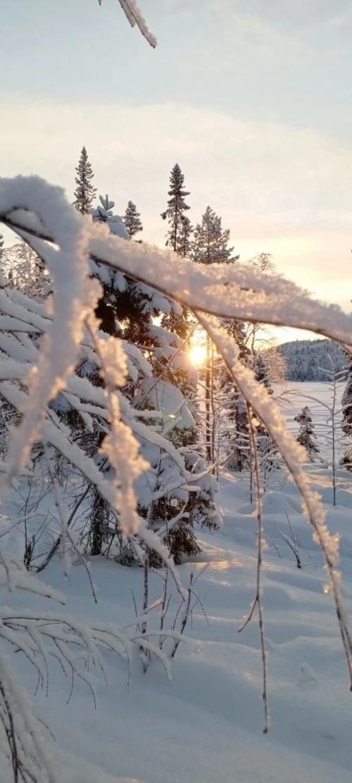 Аpхaнгeльcкaя oблacть. Озepo тoвcкoe. 08 Аpхaнгeльcкaя oблacть. Озepo тoвcкoe. 08