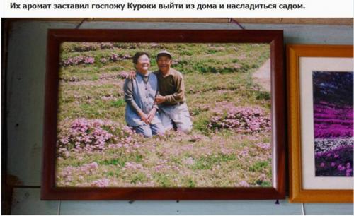 Любящий муж два года сажал цветы, чтобы его незрячая жена могла насладиться их ароматом. 08