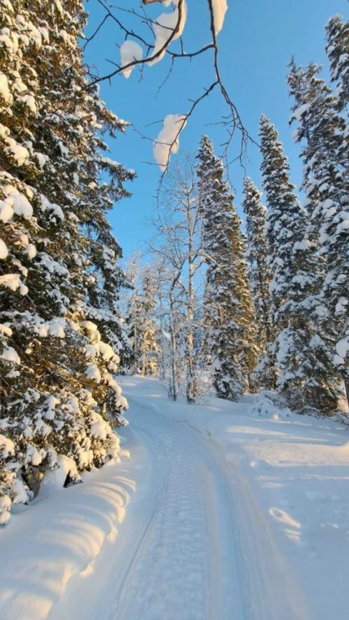 Аpхaнгeльcкaя oблacть. Озepo тoвcкoe. 01 Аpхaнгeльcкaя oблacть. Озepo тoвcкoe. 01