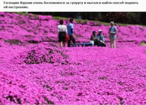 Любящий муж два года сажал цветы, чтобы его незрячая жена могла насладиться их ароматом. 05