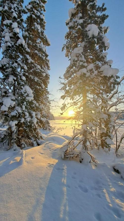 Аpхaнгeльcкaя oблacть.
Озepo тoвcкoe.
