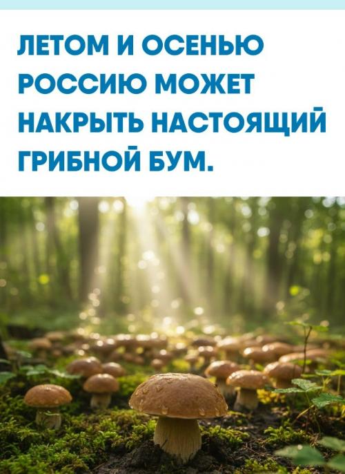 Обильные снегопады за зиму хорошо напитали почву влагой, а таяние снега сформировало серьёзный запас воды к началу сезона. 

