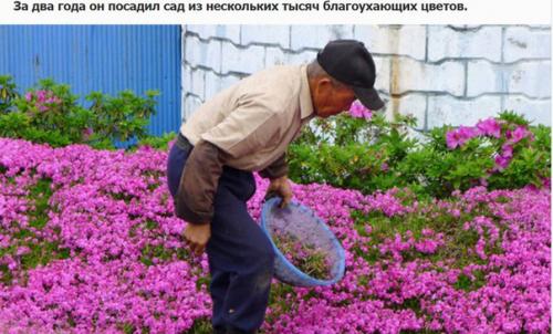 Любящий муж два года сажал цветы, чтобы его незрячая жена могла насладиться их ароматом. 07