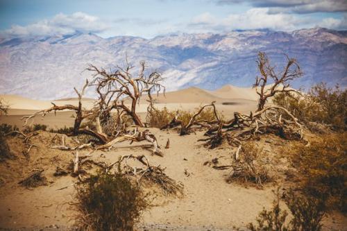Джастина джинжук - польская путешественница, которая прославилась фотоотчетами из автомобильных странствий по всему миру. 09