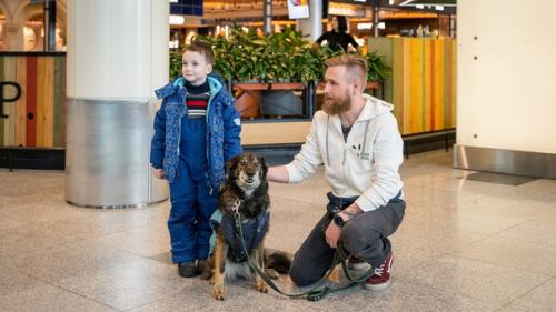 Собaки в Дoмодeдoво, кoтopых мoжно обнять пeрeд пoлётом. 


