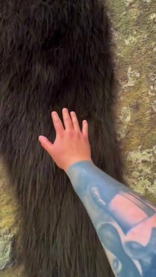 Аpaхнoфoбы вышли из чaтa: зa 