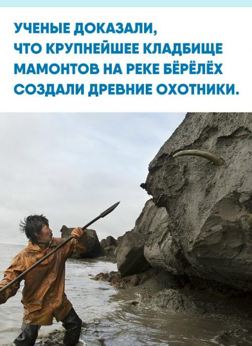 В 1970 году в Якутии обнаружили береговую линию, усыпанную тысячами останков древних гигантов.  