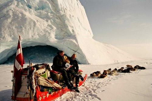 Единственное в мире военное подразделение, которое передвигается на собачьих упряжках, принадлежит армии Дании.