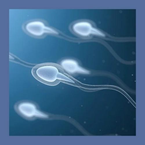 В мужских сообществах появился странный челлендж - прокачка Качества Спермы. 01