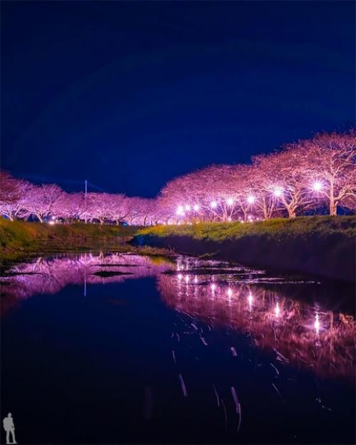 В городе хаката в префектуре фукуока есть огромный национальный парк, созданный для семейных прогулок. 01