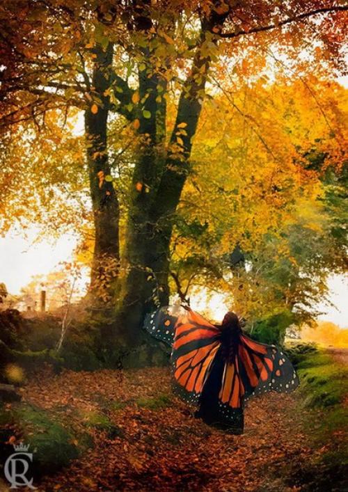 Волшебные платки в форме крыльев бабочек. 03