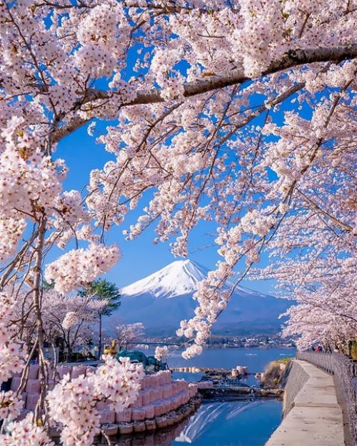 В городе хаката в префектуре фукуока есть огромный национальный парк, созданный для семейных прогулок. 03