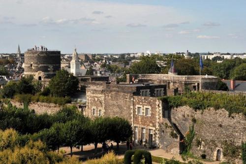 Анжерский замок, Франция. 02