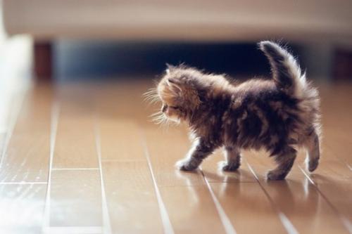 10 фактов о том, как заставить всех полюбить вас. 

