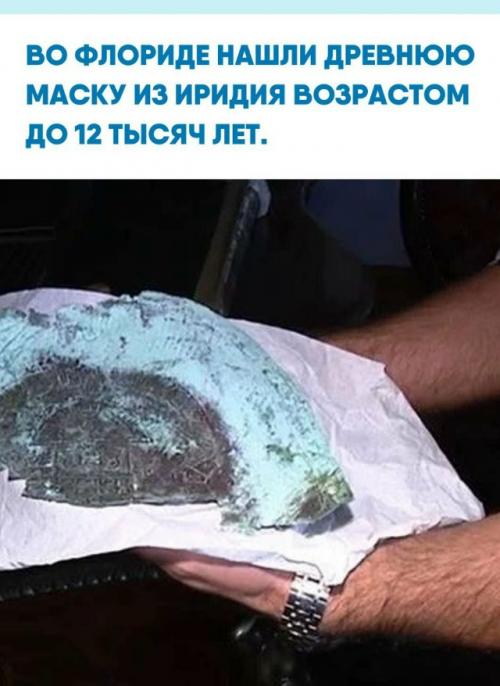 На побережье флориды искали испанский корабль, затонувший в 1715 году по пути из кубы в Испанию, но вместо сокровищ подняли погребальную маску.  