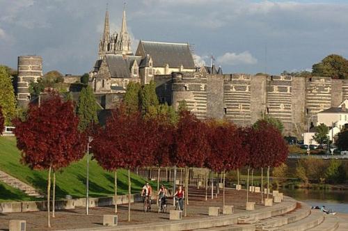 Анжерский замок, Франция. 07