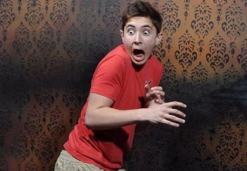 В Австралии нашли огромную моль, которая весит 30 грамм. 02