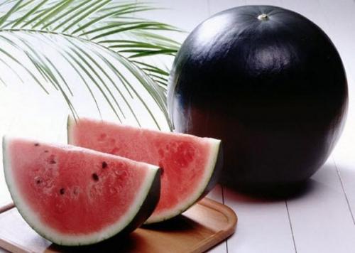 Самый дорогой в мире арбуз - 6. 500 долларов.