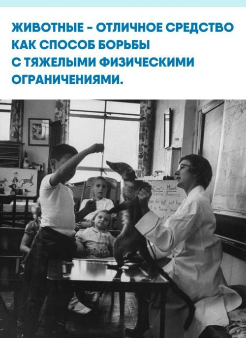 Взаимодействие с животным помогало ей отвлечься от боли и ограничений, ощутить собственную значимость и получить в ответ искреннюю привязанность.  