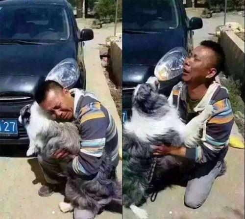 Встреча хозяина и его собаки, которая была украдена.

