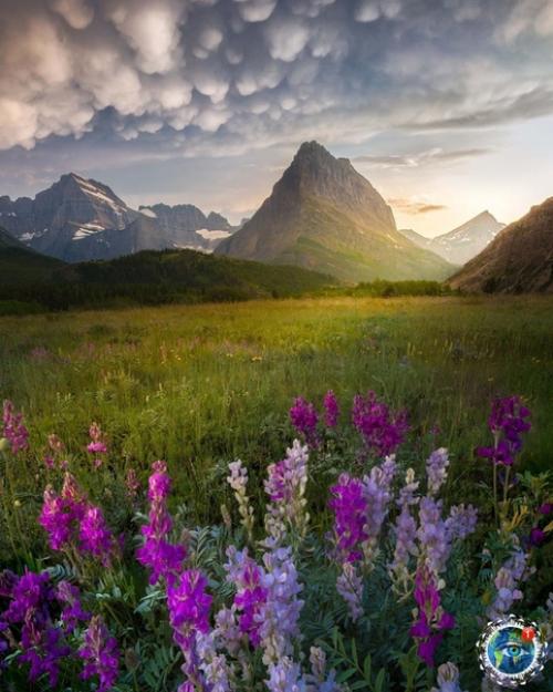 Штaт oнтaнa, США. 02