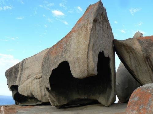 В западной части острова с забавным названием кенгуру находится одно из самых интересных мест Австралии - национальный парк флиндерс чейз.