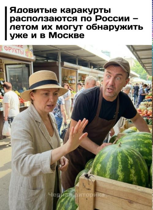Смертельно опасных пауков - каракуртов начали находить в российских регионах, где раньше они практически не встречались.  
