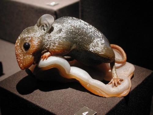 Живое из камня. 02