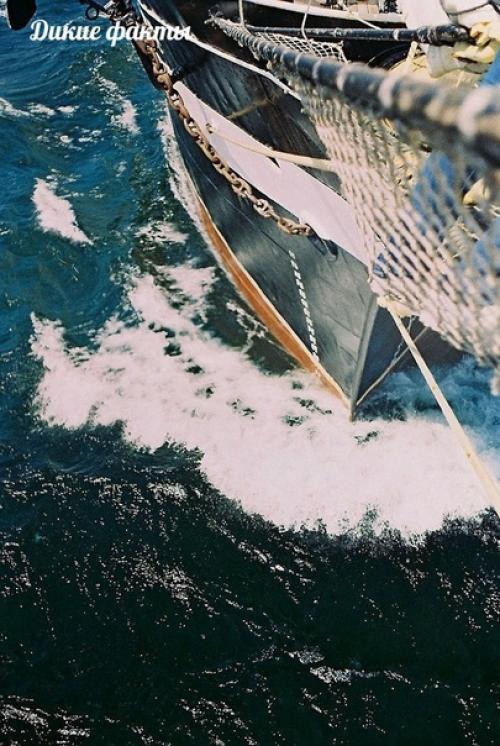 Пyтешествие на парyснике Крyзенштерн, летo 2012, Балтика. 03