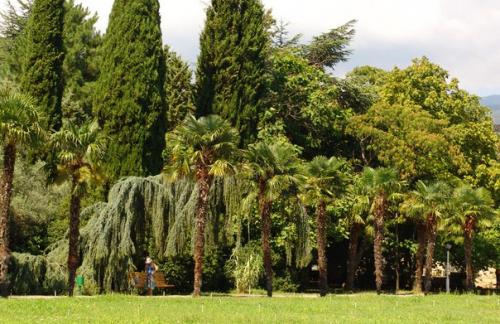 Партенит - девичий отдых.

