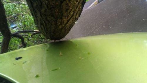 Вот, что значит настоящее везение. 02