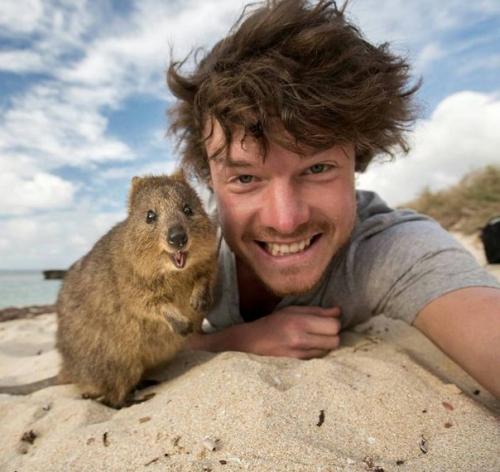 Почему все обожают делать селфи с квоккой. 01