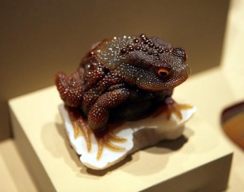 Живое из камня. 01