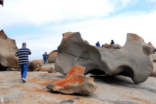 В западной части острова с забавным названием кенгуру находится одно из самых интересных мест Австралии - национальный парк флиндерс чейз. 04