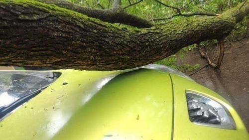 Вот, что значит настоящее везение. 01