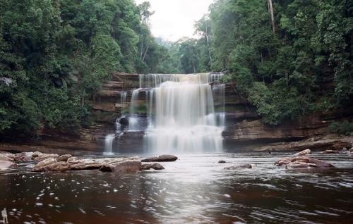 Борнео (малайск.  Borneo, или Калимантан (индон.