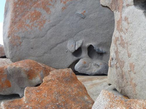 В западной части острова с забавным названием кенгуру находится одно из самых интересных мест Австралии - национальный парк флиндерс чейз. 03