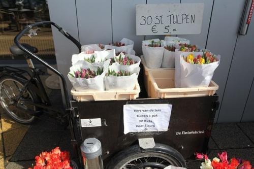 Тележка с тюльпанами без продавца в Голландии.