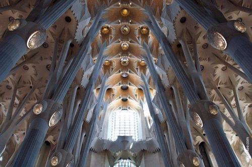 В 16 лет Антонио гауди отправился в Барселону учиться.  