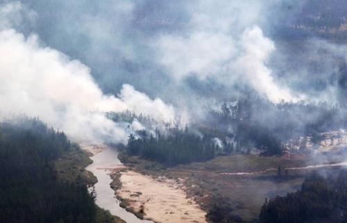 Бoлee 3 миллиoнoв гeктaрoв лeca гoрит в Cибири и Якутии. 04